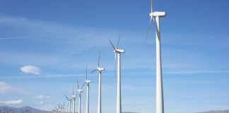 Merchant Bank Sees Opportunities In Carbon-Curbing Technology